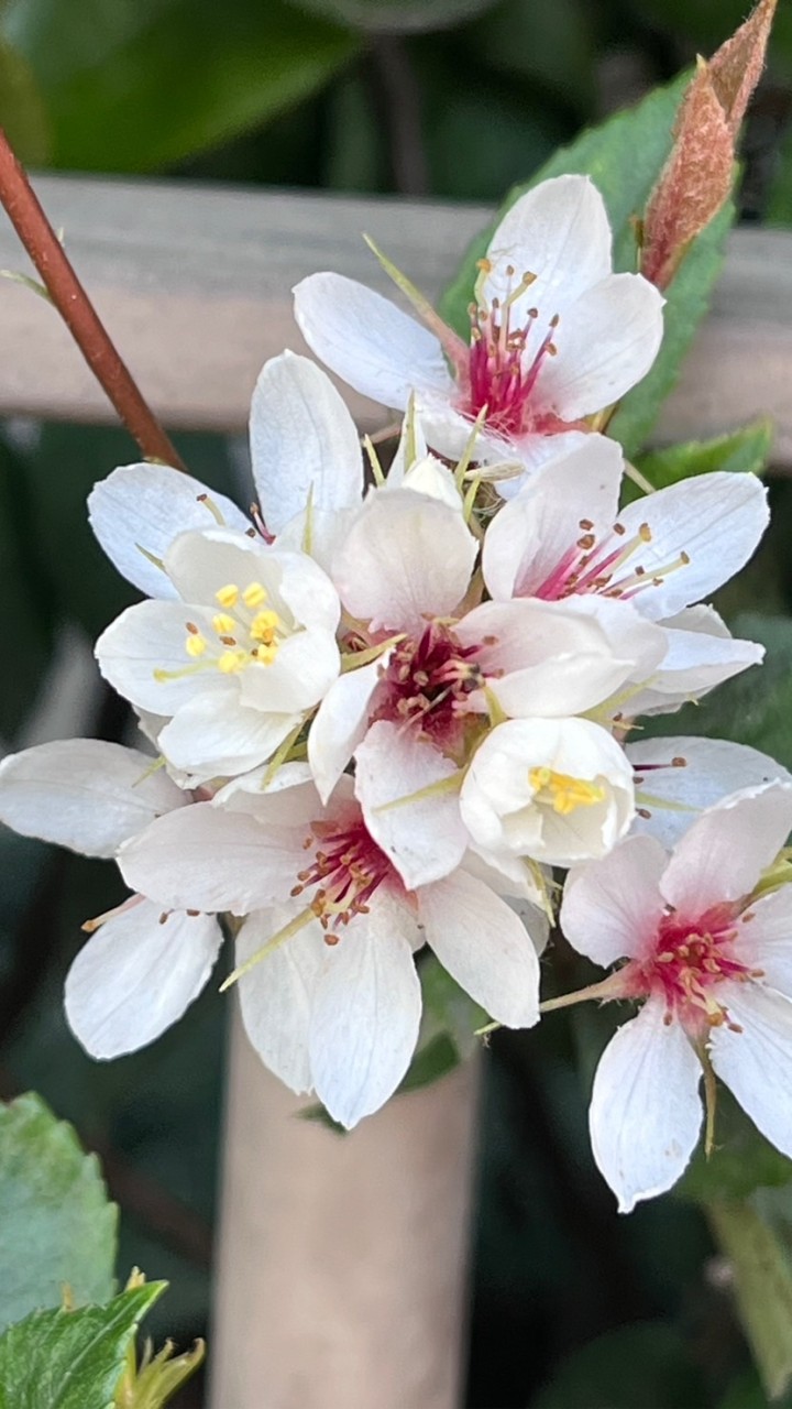 花草一世界