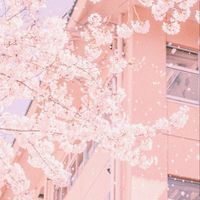 【公式】ゴールデンホイヤー ポイ活