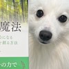 松谷英子🍀五感の魔法で人生好転