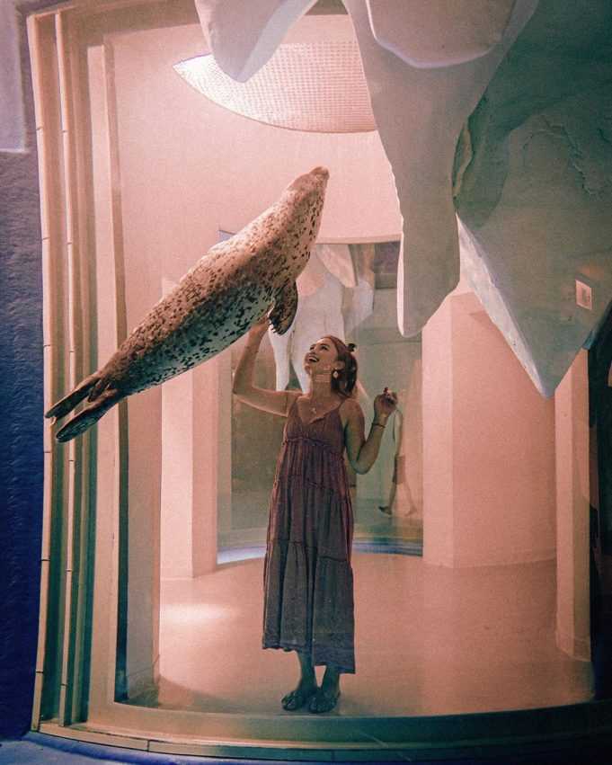 桃園青埔Xpark水族館 _寒帶行動_海豹