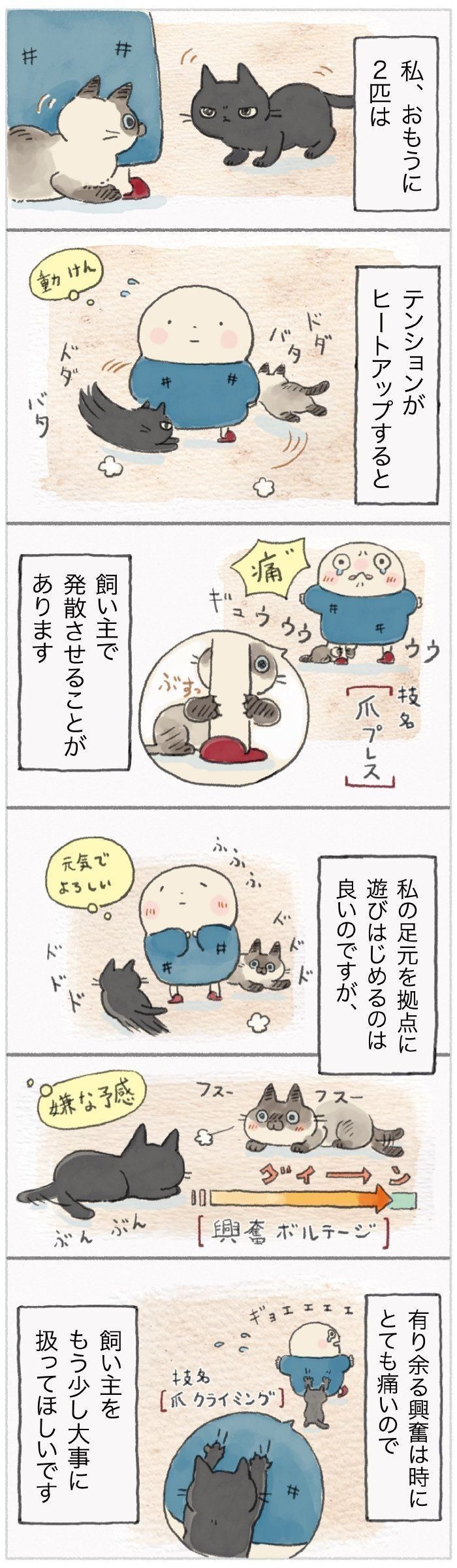 ハピンズの ひんやり 猫グッズで暑さ対策