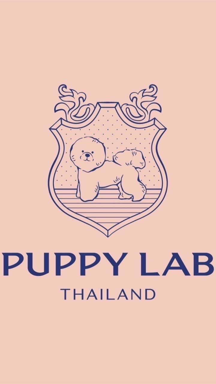 Puppy lab