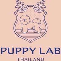 Puppy lab