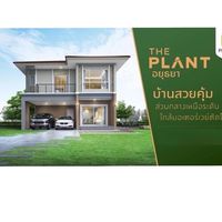 ข่าวสาร The plant อยุธยา