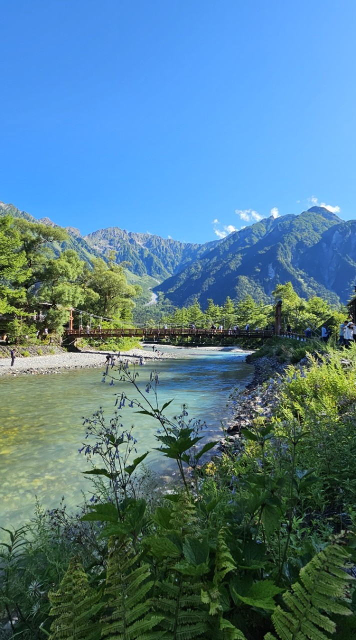 日本上高地‘’梓川左岸‘’健行賞楓之旅。