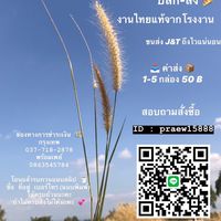 MASK ปลีก - ส่ง ราคาถูก
