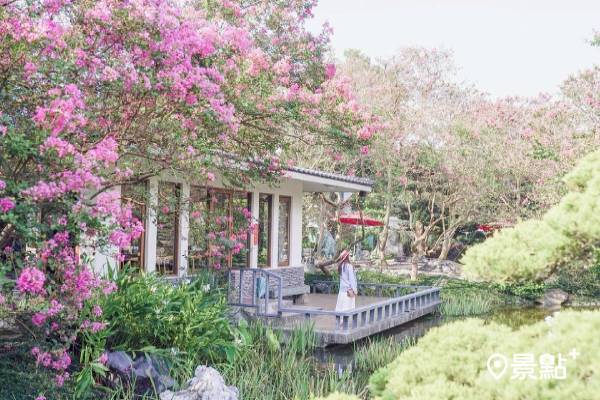 粉紅紫薇花海綻放 秒飛日本庭園美術花園 景點家 Line Today