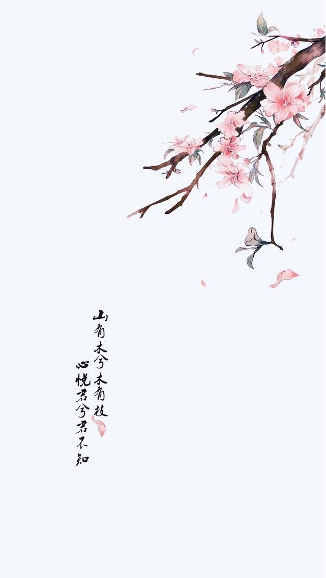 ✿山有木兮木有枝，心悅君兮君不知✿
