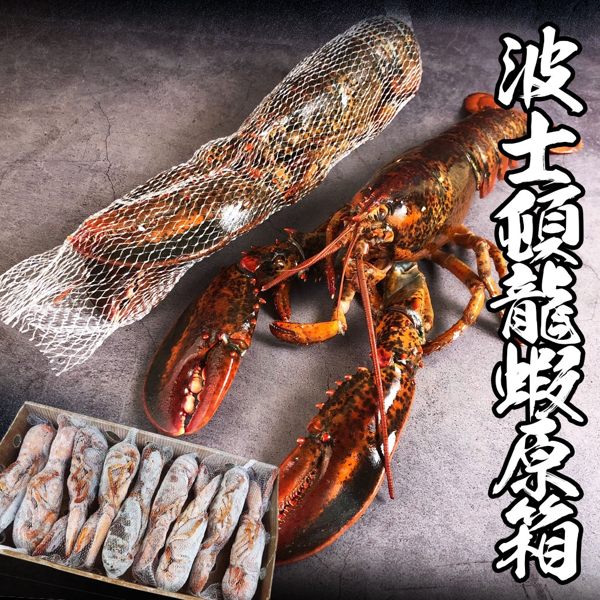【獨家進口】活凍波士頓大龍蝦原裝件*1箱組(總重4.54公斤/約9隻)