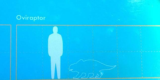 Bocah 10 Tahun Koreksi Kesalahan di Museum Dinosaurus