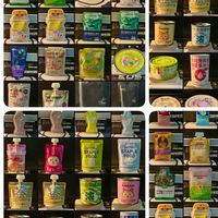 แม่พลอยมีลูกห้าตัวFeast - Cat Food Shop