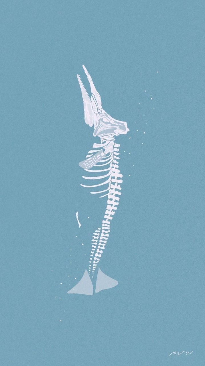 歌雑！みんなのうた聞きたいな〜！