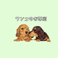 ワンコのお部屋