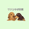 ワンコのお部屋