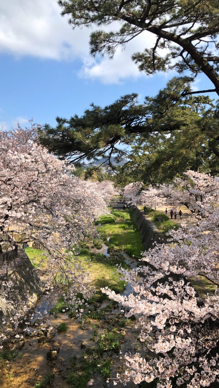 苦楽園/夙川/芦屋グルメ