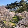 苦楽園/夙川/芦屋グルメ&ライフ