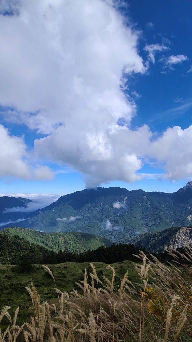 🔅🔅🔆雙北陽光🔆🔅🔅台北市新北市🏚生活大小事美食旅遊休閒娛樂在地美食心情😞閒聊🐱貓貓🐶狗狗