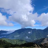 🔅🔅🔆雙北陽光🔆🔅🔅台北市新北市🏚生活大小事美食旅遊休閒娛樂在地美食心情😞閒聊🐱貓貓🐶狗狗