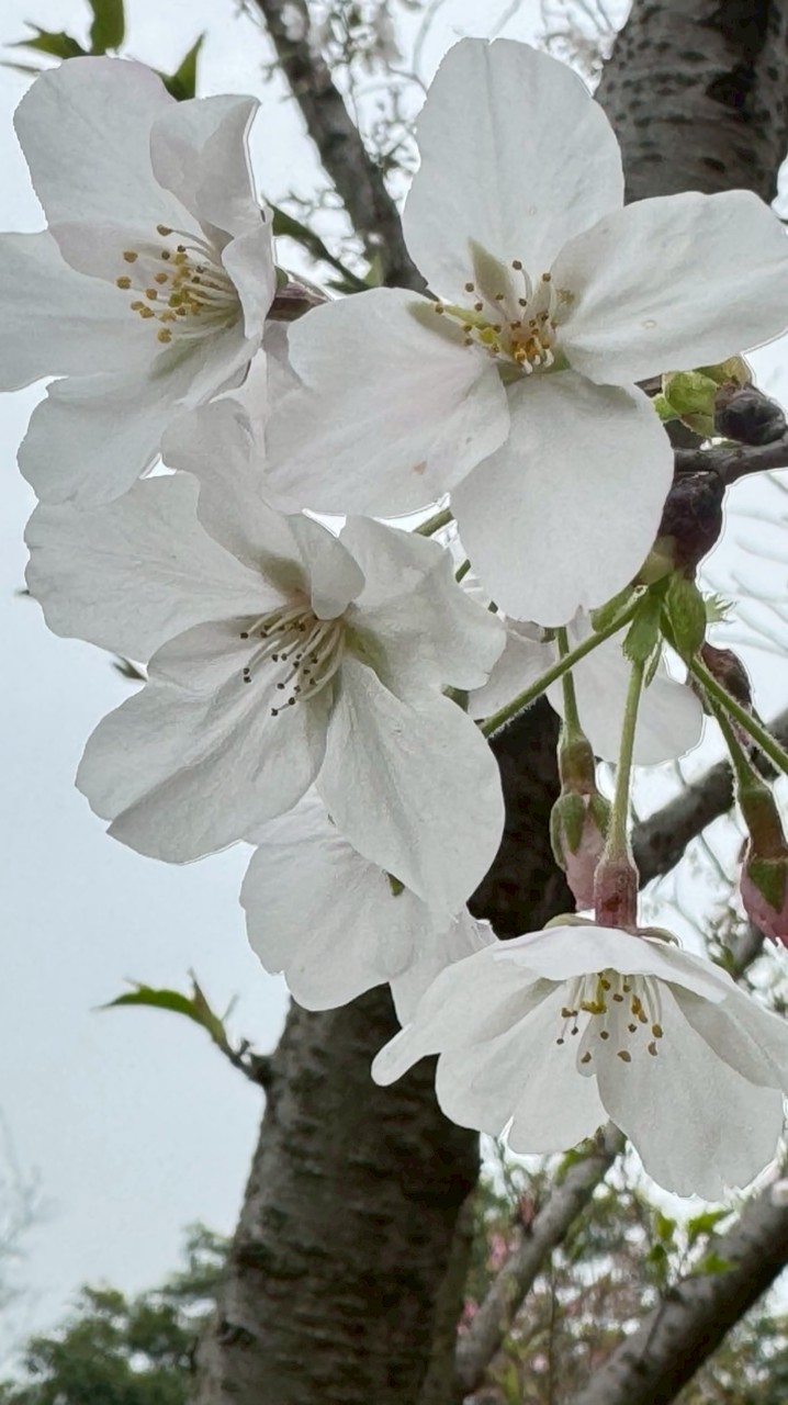 5/22~24宜蘭旅遊