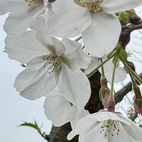 5/22~24宜蘭旅遊