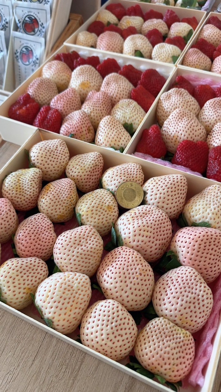 草莓🍓妹水果客製包裝可外送☑️