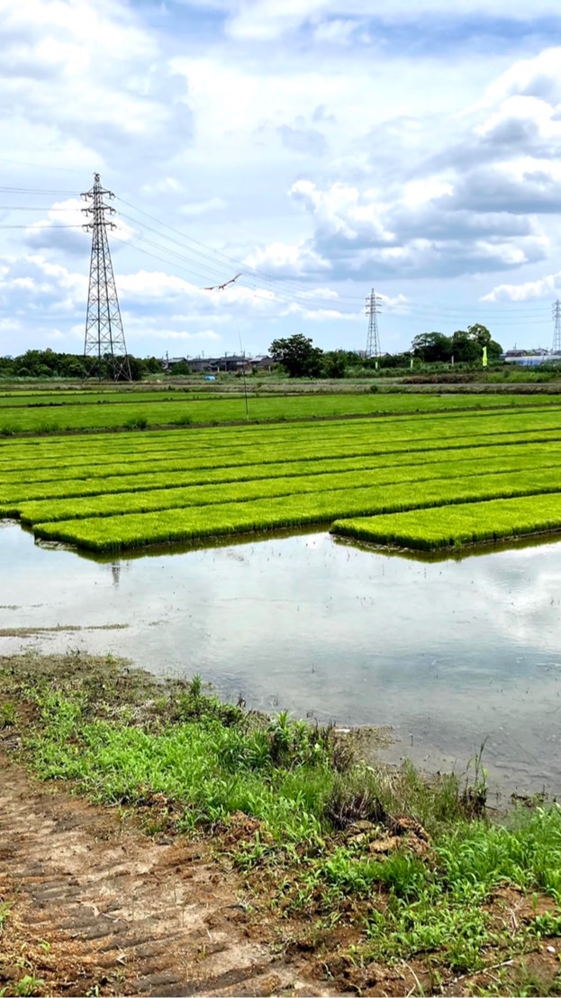 OpenChat (´-ω-`)ﾉｼ愛知県西部在住民向け