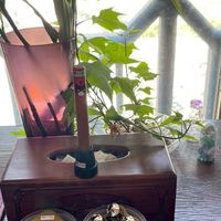 高雄高磁能按摩
