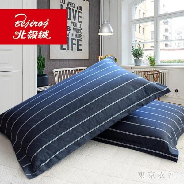 枕套 北極絨單人學生椎枕決明子蕎麥枕頭宿舍一個枕芯男女