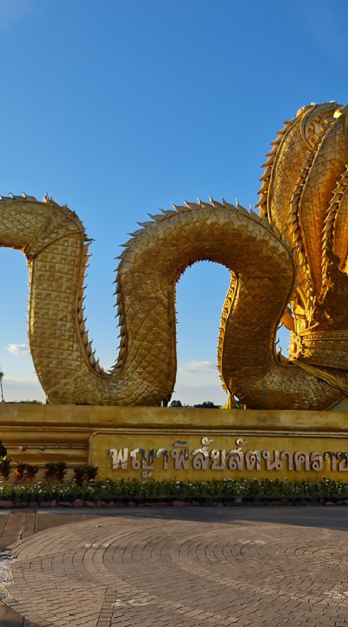 คลิปไก่ชน