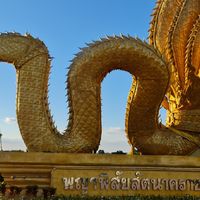 คลิปไก่ชน