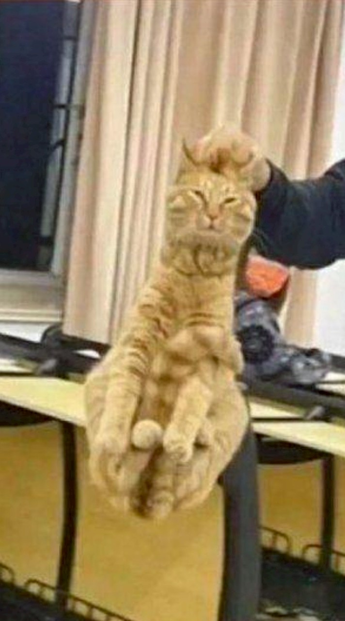 Æクラン㈱