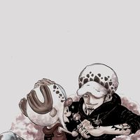𝕖𝕧𝕖𝕣𝕪𝕕𝕒𝕪 𝕝𝕚𝕗𝕖 ~ONEPIECE~