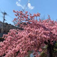 埼玉県東所沢