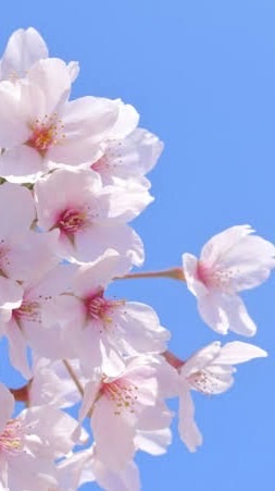 学生の恋愛相談！雑談！