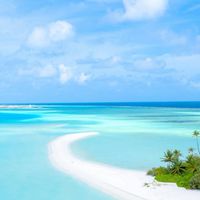 ママの未来資金と旅育の部屋🛳️