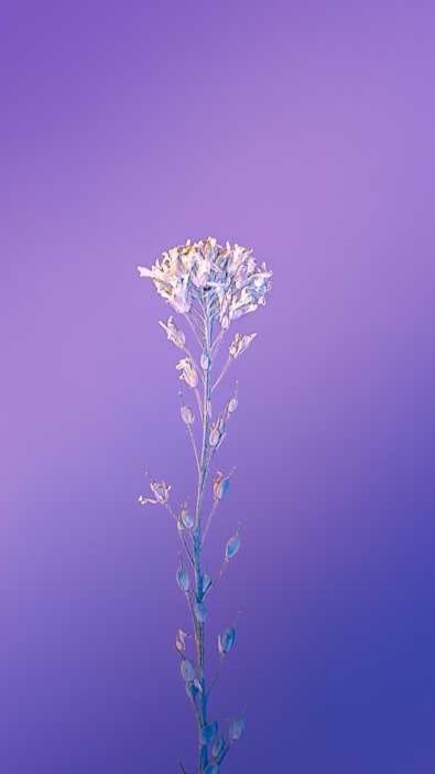 該不該打疫苗？疫苗後遺症如何解？疫情真相是什麼？現實竟比小說精采？回歸信仰，提高道德層次，保平安！のオープンチャット
