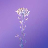 自由第一步：瞭解醫療真相/疫苗後遺症/居家常備醫藥/金銀貨幣/反全球化/幸福飲食/信仰道德討論園地