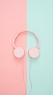 ハゲワシファミリー！