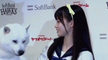 橋本環奈其實個性差？日本網友發現她冷不防「肩擊」狗狗