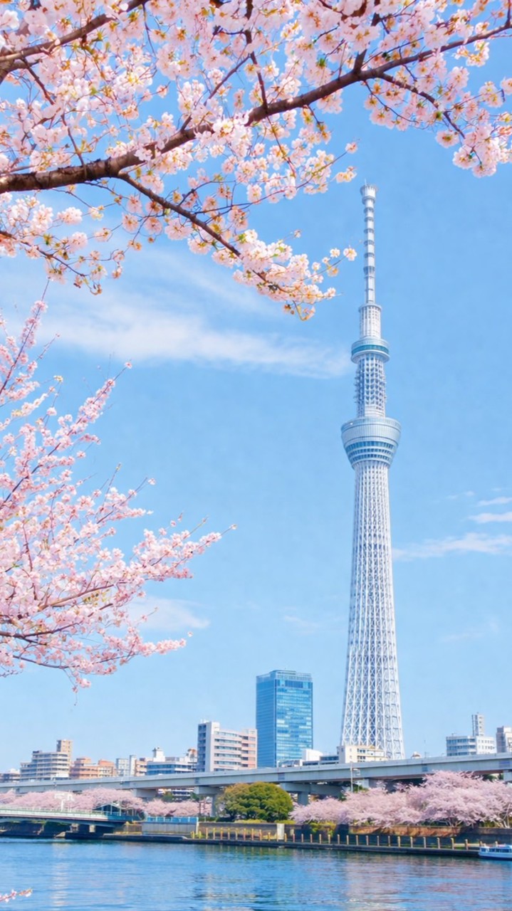 エミルルーム4/19東京オフ会🗼