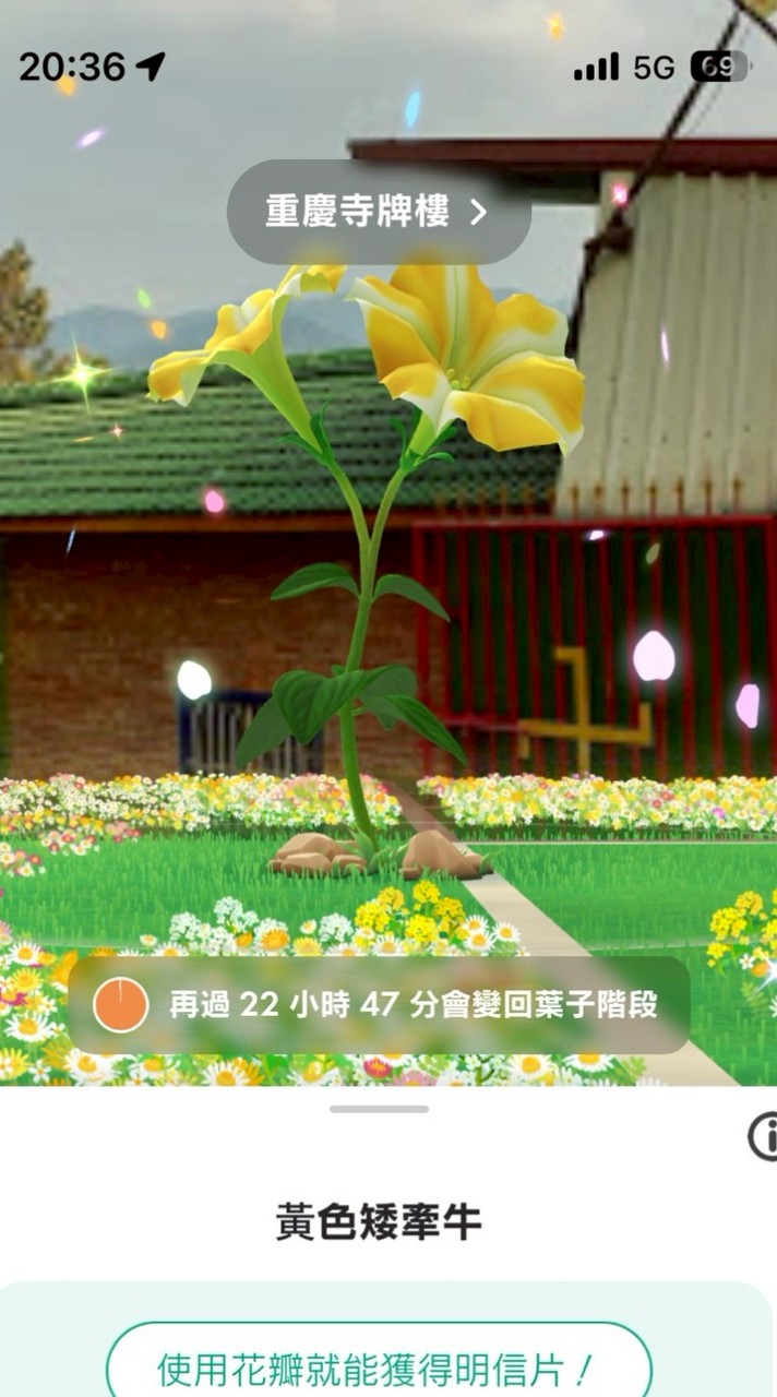 竹山皮克敏開花區互相交流