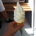 バニラソフトクリーム - 実際訪問したユーザーが直接撮影して投稿した北四十二条東アイスクリームオーケー乳業のソフトクリームの写真のメニュー情報