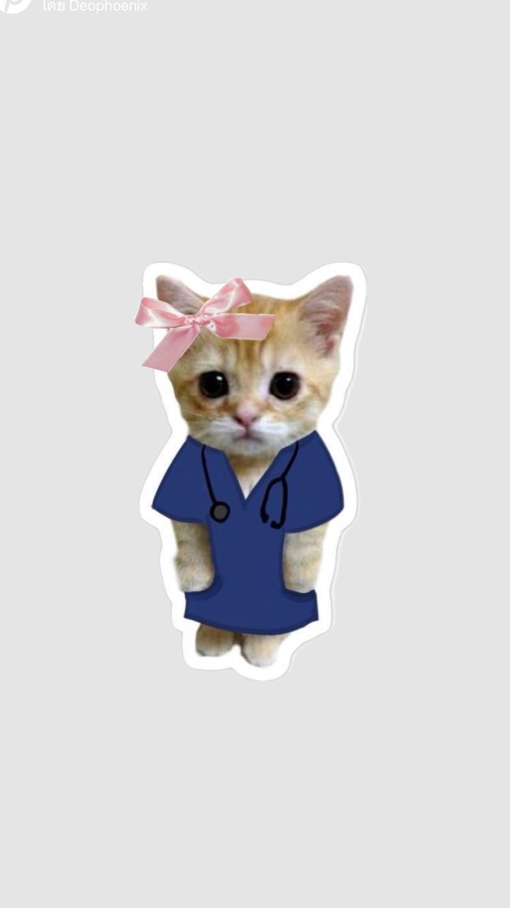 Staff รับน้อง NU 56 KKU63 🥳