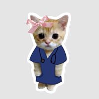 Staff รับน้อง NU 56 KKU63 🥳