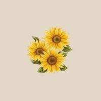 🌻ทานตะวันเตรียมสอบ 🌻