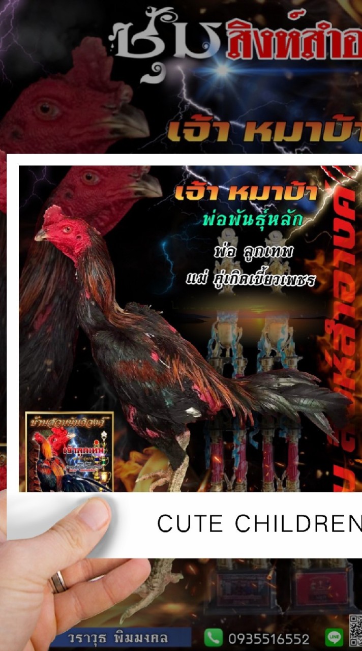 หมาบ้า  สิงห์สำอางค์BG