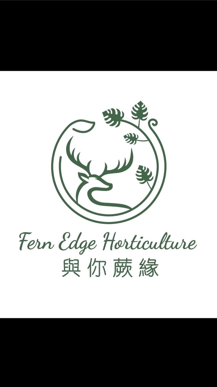 與你蕨緣