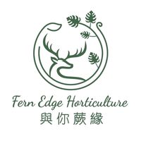 與你蕨緣