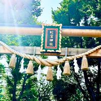 マコモ祭厚木チーム