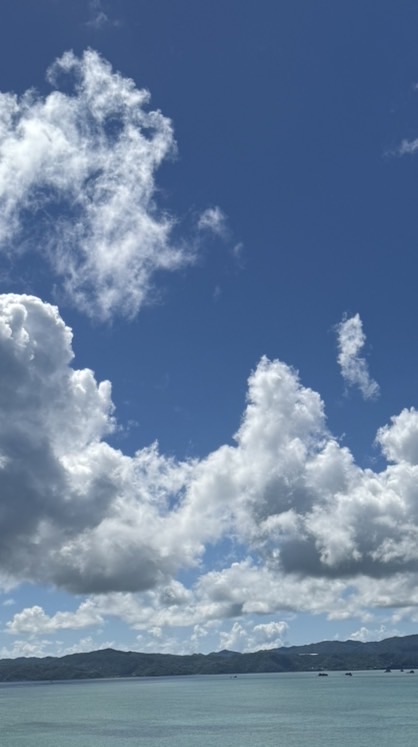 北市雞蛋🥚外送